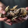 Relais & Châteaux roept chefs op om bedreigde soorten van menu’s te halen