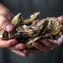 Relais & Châteaux roept chefs op om bedreigde soorten van menu’s te halen