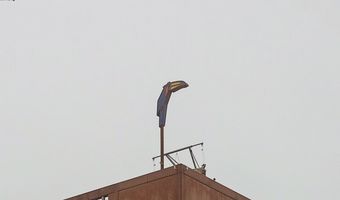 Vertraging nieuw Van der Valk-hotel sleept voort: “Bijna ontmoedigend”