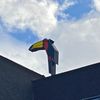 Van der Valk bouwt nieuw hotel met 182 kamers over de grens