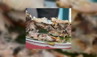 Bejaarde vindt eten vies en slaat erop los