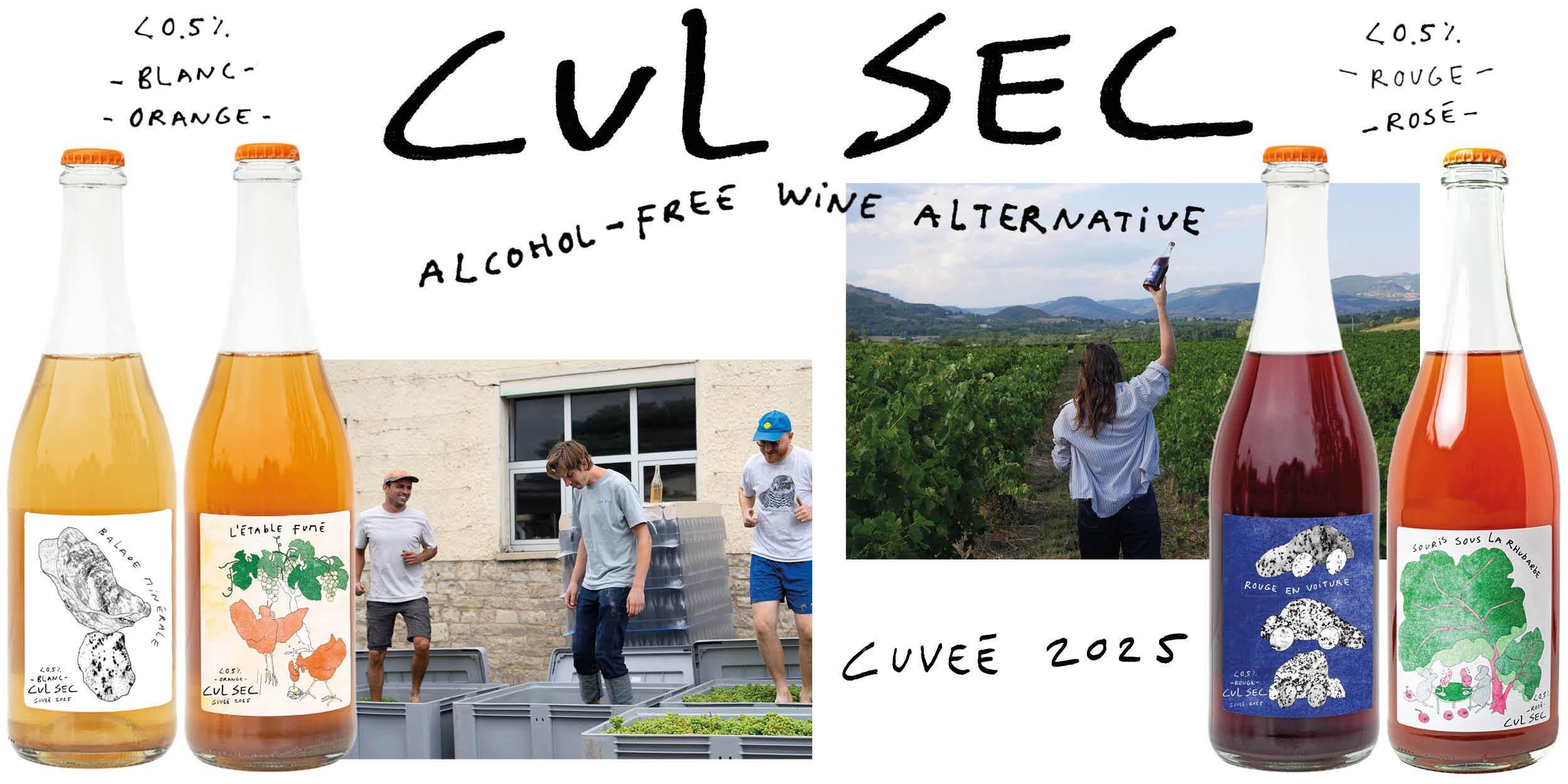 Nederland als perfect alcoholvrij wijnland? Cul Sec lanceert cuvée 2025