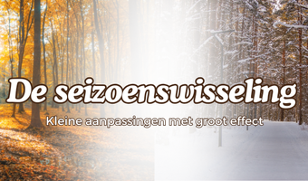 Overgang van herfst naar winter: kleine aanpassingen met groot effect