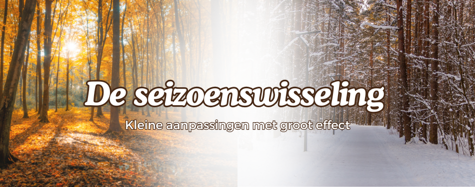 Overgang van herfst naar winter: kleine aanpassingen met groot effect