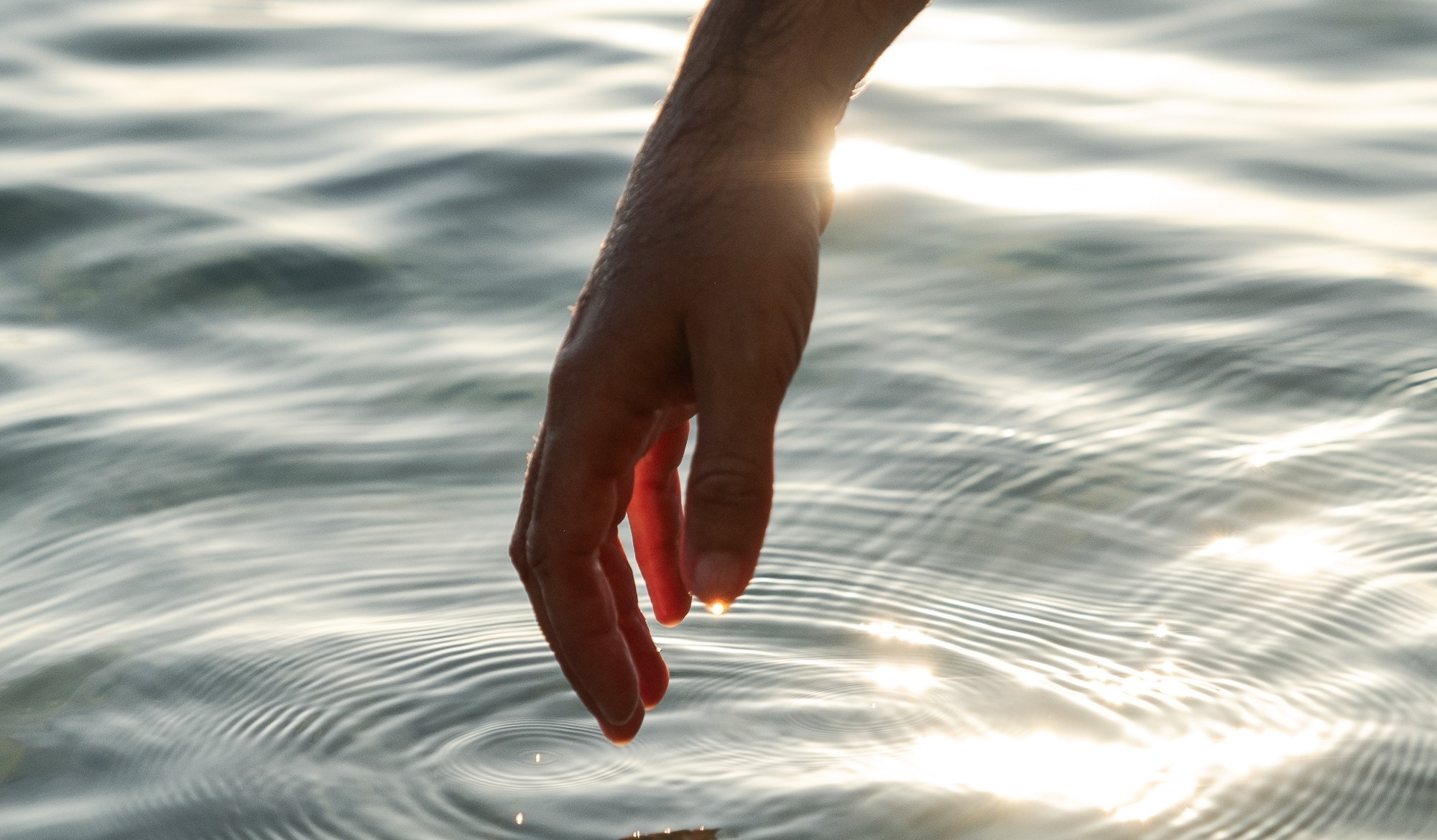 “Transparantie is hét woord van 2026”