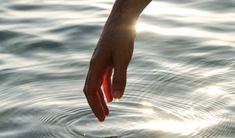 “Transparantie is hét woord van 2026”