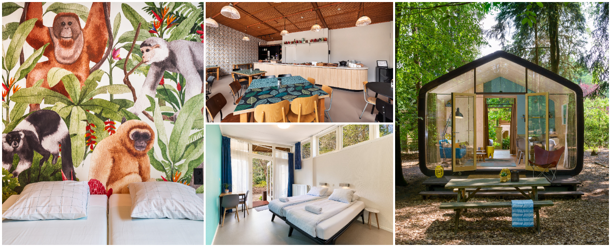 Stayokay Apeldoorn heropent deuren na renovatie met Apenheul familiekamer