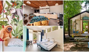 Stayokay Apeldoorn heropent deuren na renovatie met Apenheul familiekamer