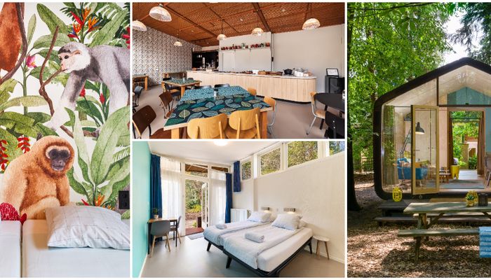 Stayokay Apeldoorn heropent deuren na renovatie met Apenheul familiekamer