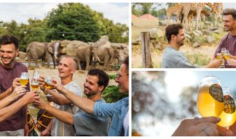 Bier, beleving en Big 5: Brew@theZoo bij Beekse Bergen viert jubileum
