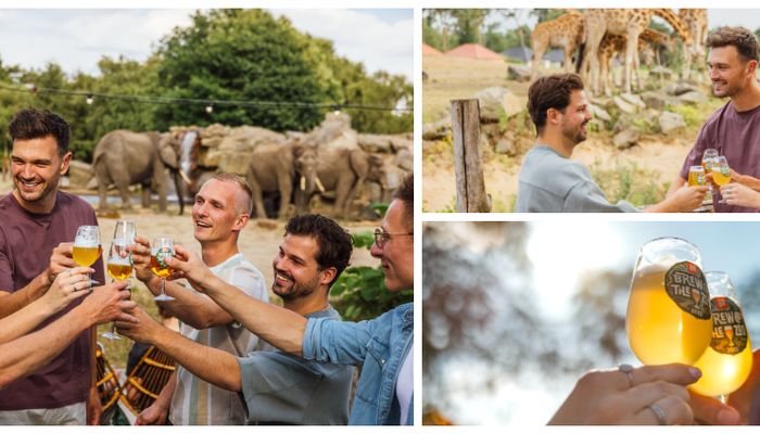 Bier, beleving en Big 5: Brew@theZoo bij Beekse Bergen viert jubileum