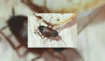 Zoover Top 5 slechtste hotels