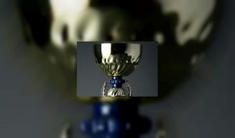 Pronkkamer deelt prijs uit 