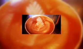 Insecten kleuren Frappuccino Starbucks 