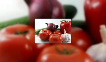 Gezonde snacks op Floriade