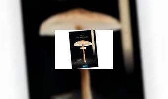 Aan de slag met wilde paddenstoelen