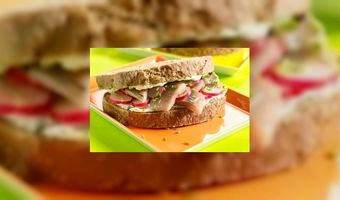 Boerensandwich met haring en radijs