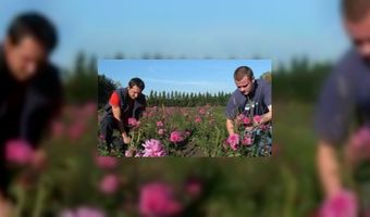 Grootste 'Polenhotel' van Nederland 