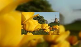 1,3 miljoen Nederlanders op herfstvakantie