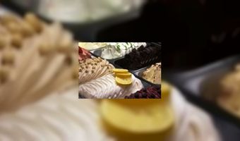 IJssalons overwinteren de crisis