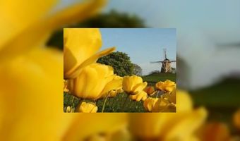 650.000 vakanties in eigen land