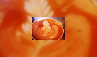 Wie wordt de Dutch Barista?