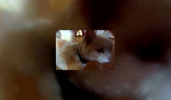 Horeca-polsbandje nog niet klaar