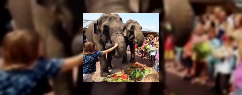 Maya en Wanda lunchen zo'n 40 kilo