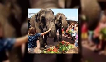 Maya en Wanda lunchen zo'n 40 kilo