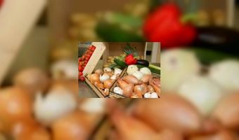 Lekkerste Lunchroombroodje online