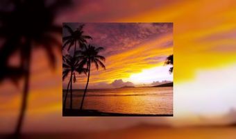 TripAdvisor niet alleen voor consument