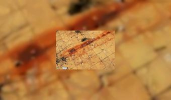 Hotel wacht renovatie of sloophamer