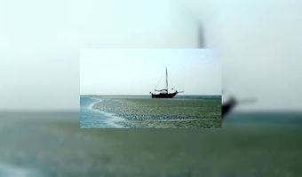 Acht restaurants ontvangen Waddengoud