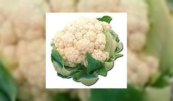 Hollandse Tapas tegen voedselverspilling