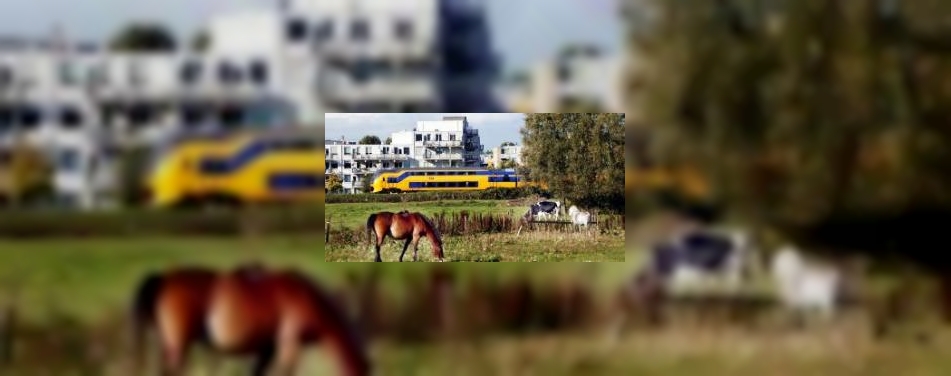 Trein in trek bij binnenlandse stedentrip