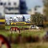 Trein in trek bij binnenlandse stedentrip