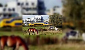 Trein in trek bij binnenlandse stedentrip