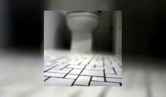 Lunchroom met waterballet op toilet