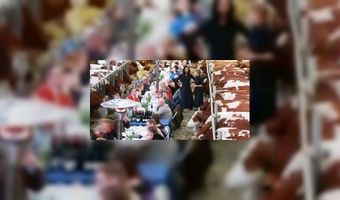 Uit eten tussen de koeien