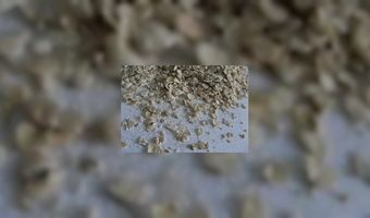 Havermout in BelgiÃ« populair ontbijt