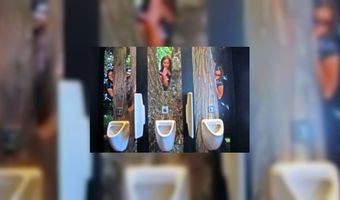 Villa Ruimzicht heeft mooiste toilet