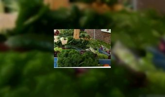 Verkiezing streekproduct Groene Hart