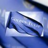 Golden Tulip breidt uit in Amsterdam