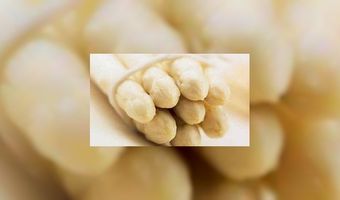 Aspergeseizoen op punt van beginnen