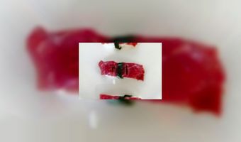 Dit is het duurste rundvlees ter wereld