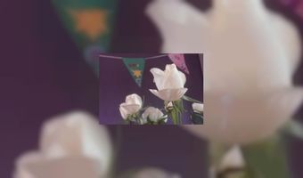 De Vilt groepsaccommodatie van het jaar