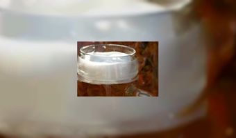 Dat is nog eens een stamgast