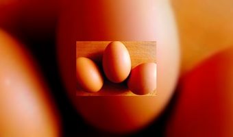 Jarige De Kweker trakteert met ei