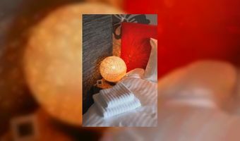 Uitzicht op de bloemenkwekerij