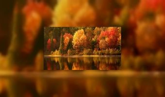 Europeaan zoekt zon op in herfst